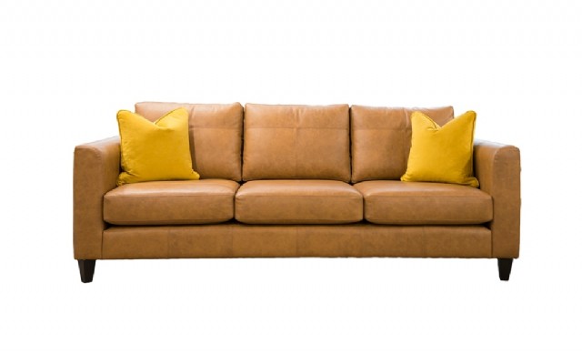 Leather Sofa Models